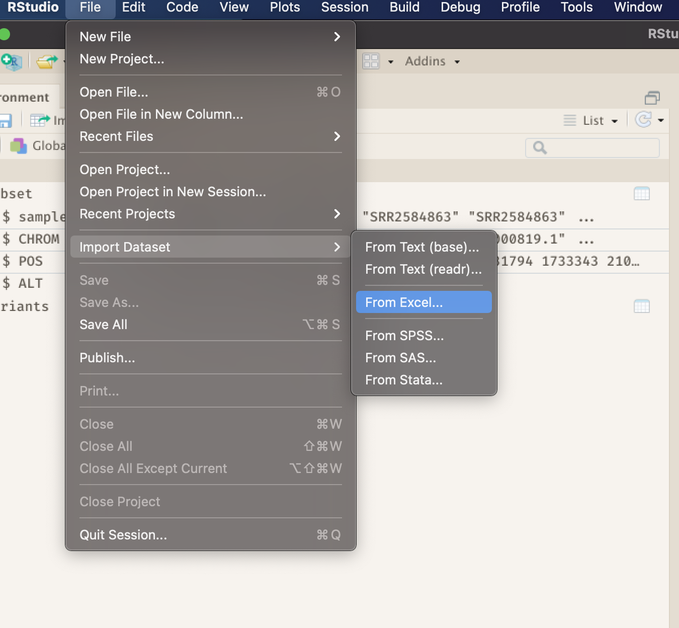 rstudio import menu